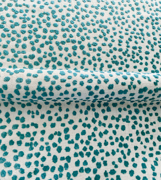 Tapir Teal