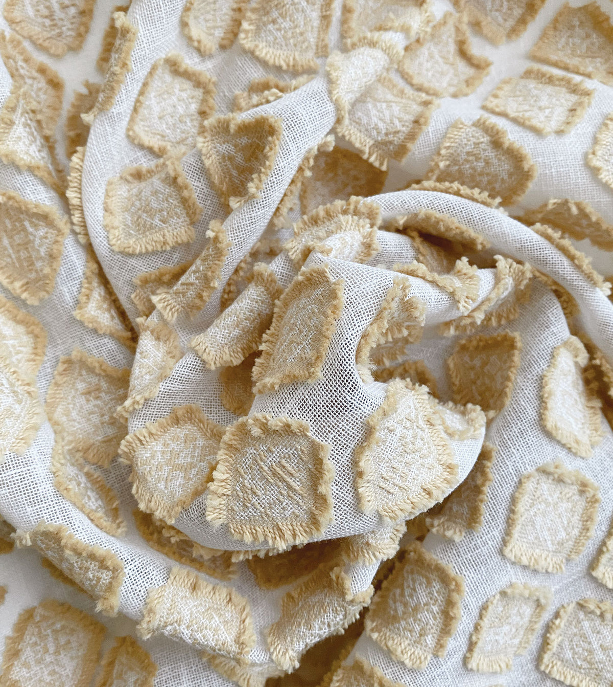 TERRANOVA GOLD