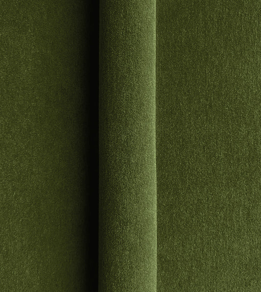 BRAHMS FERN