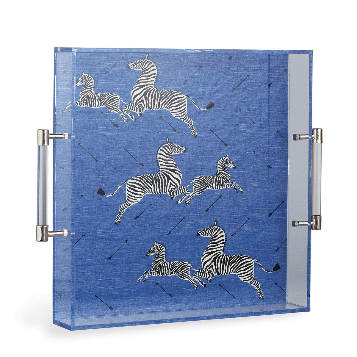 Zebra Blue Lucite Tray