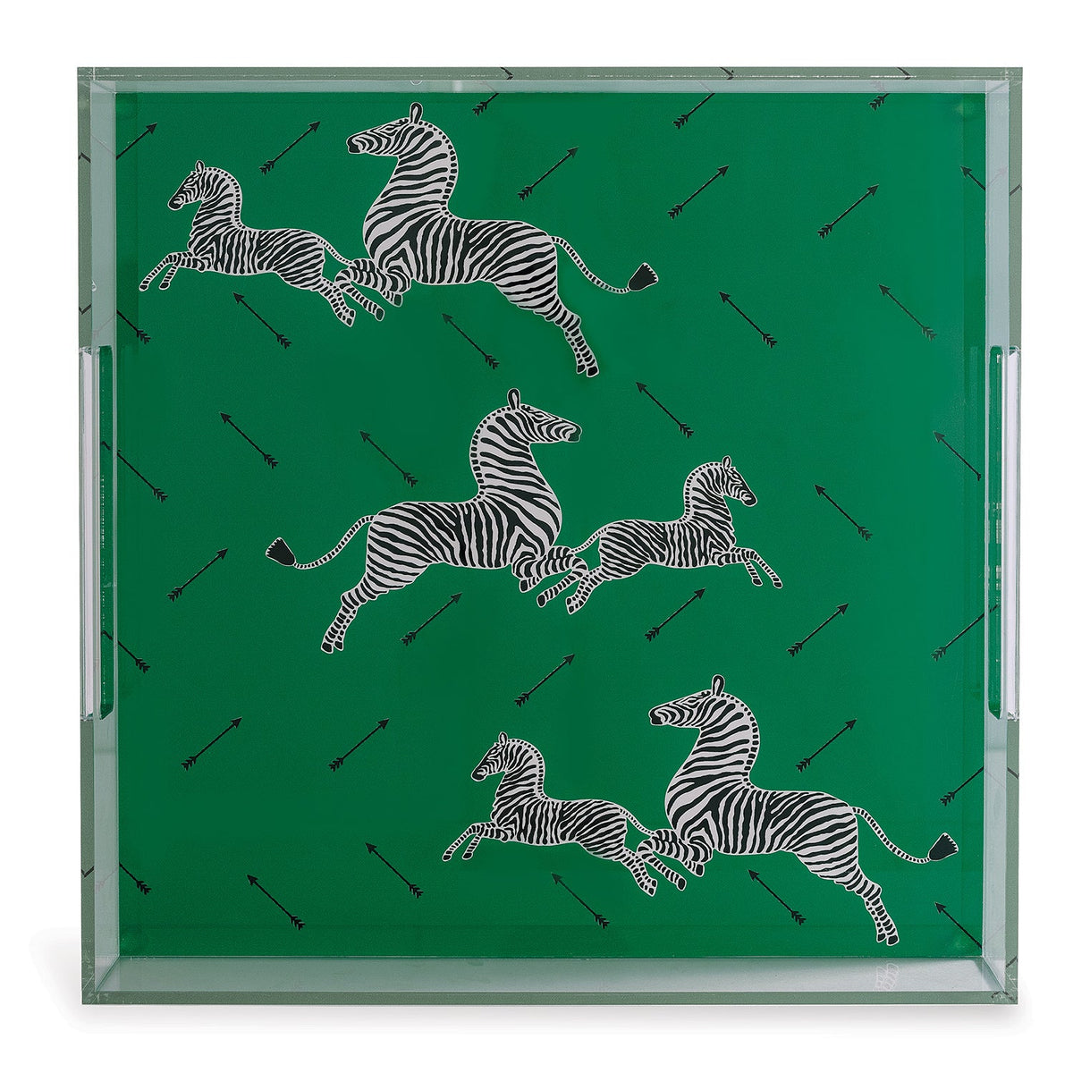 Zebra Green Lucite Tray