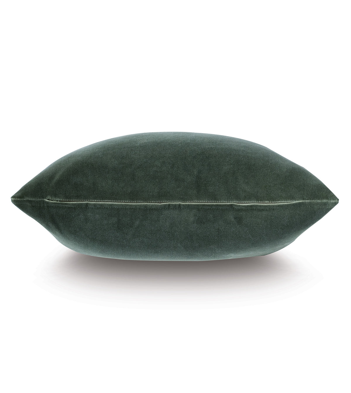Echo Trim Applique Decorative Pillow