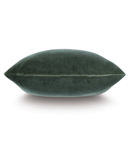 Echo Trim Applique Decorative Pillow