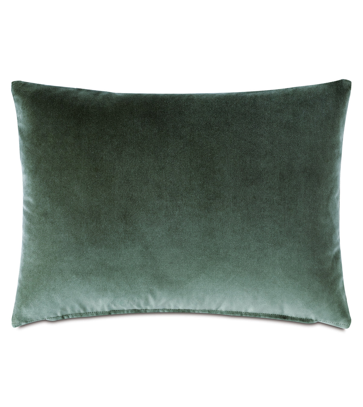 Echo Trim Applique Decorative Pillow