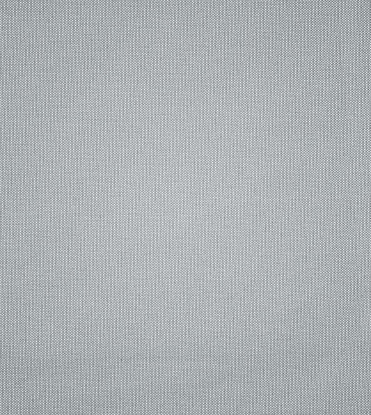 Modesta Fog