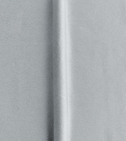 Modesta Fog