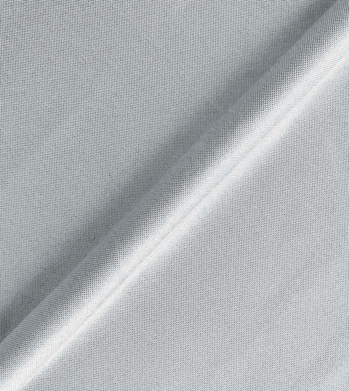 Modesta Fog