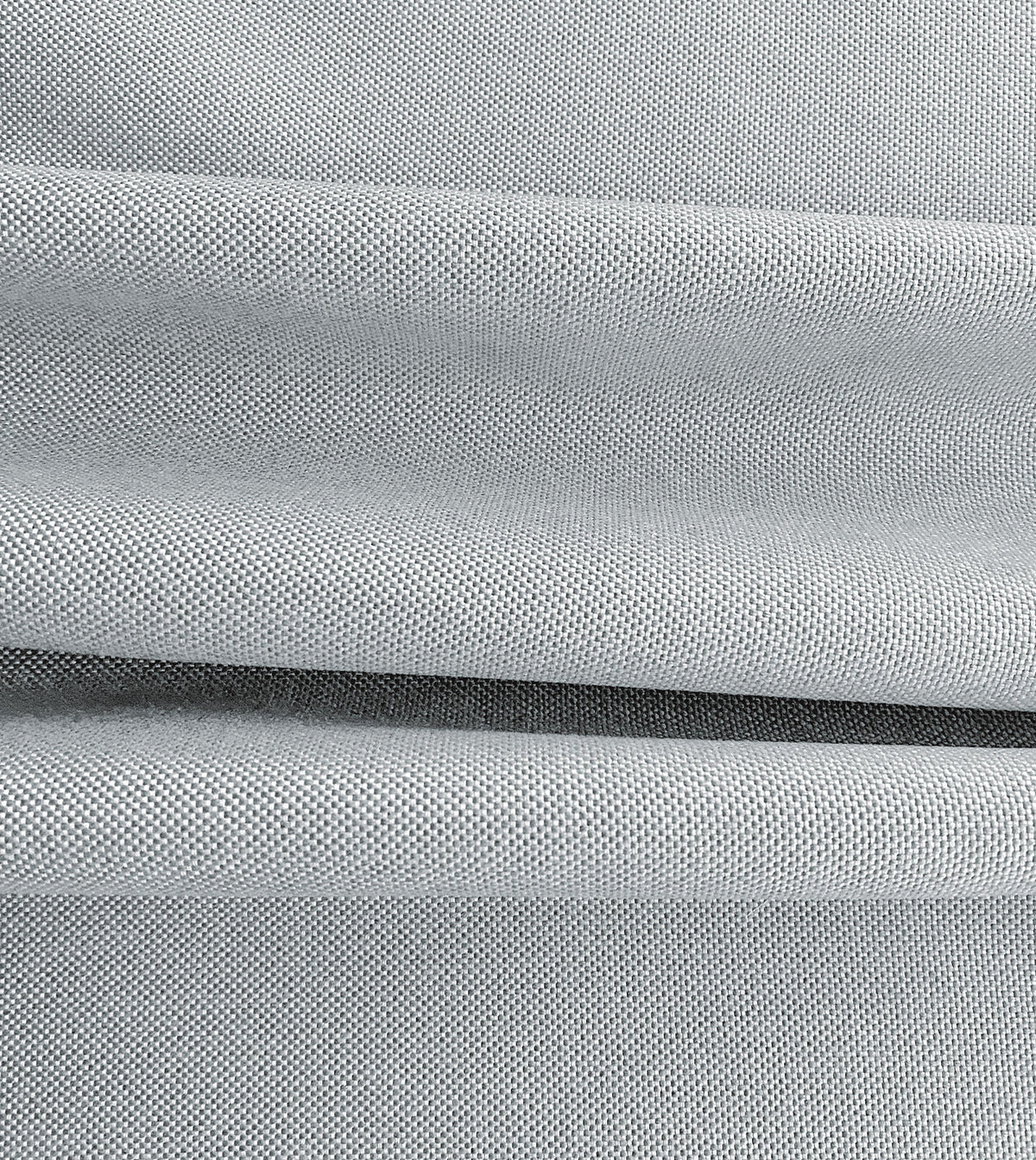 Modesta Fog
