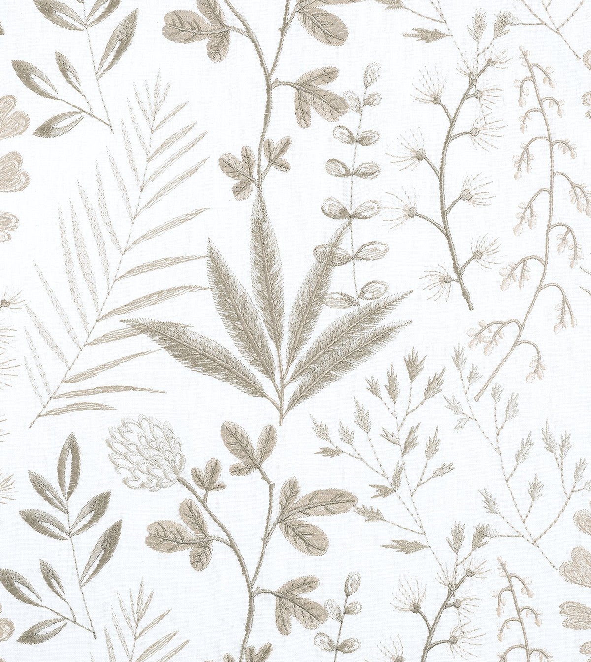 Tallo Flax