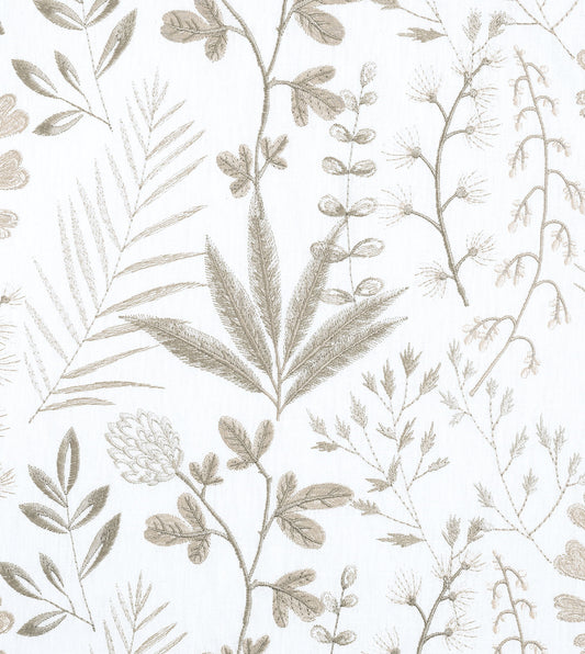 Tallo Flax