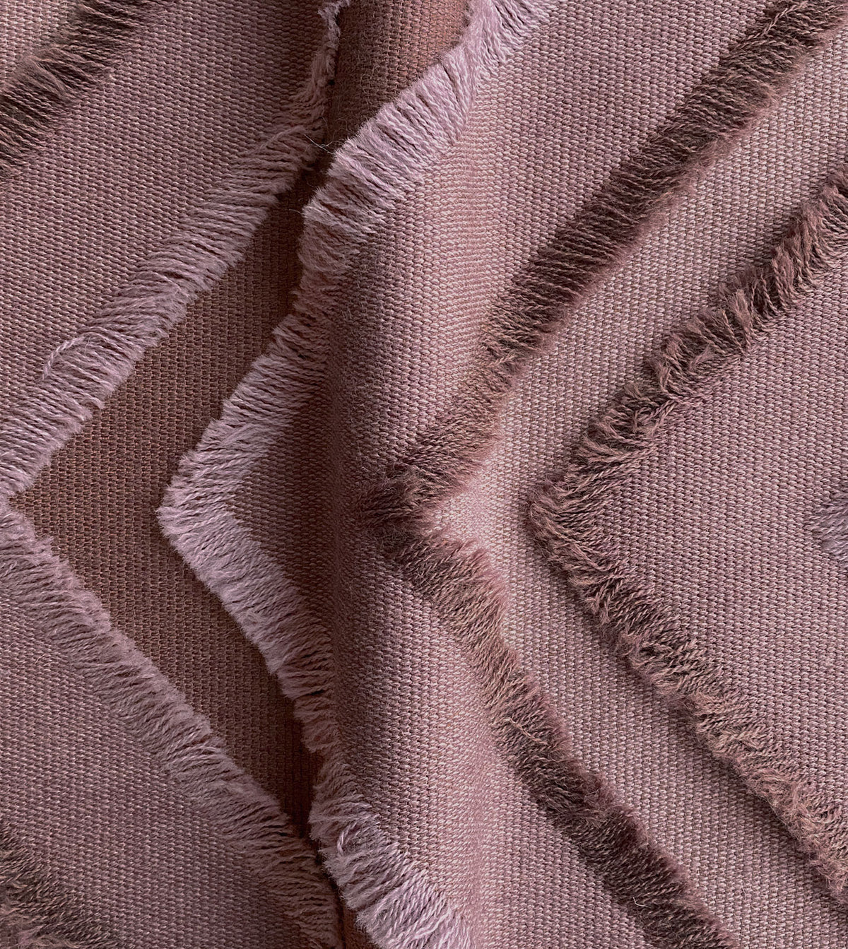 Jacinto Lilac