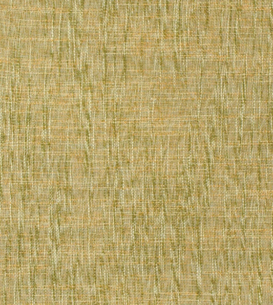 Broward Grass