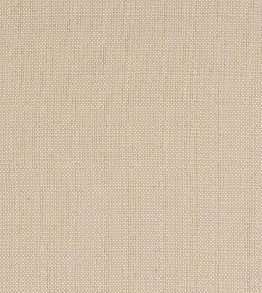 Vivo Bisque