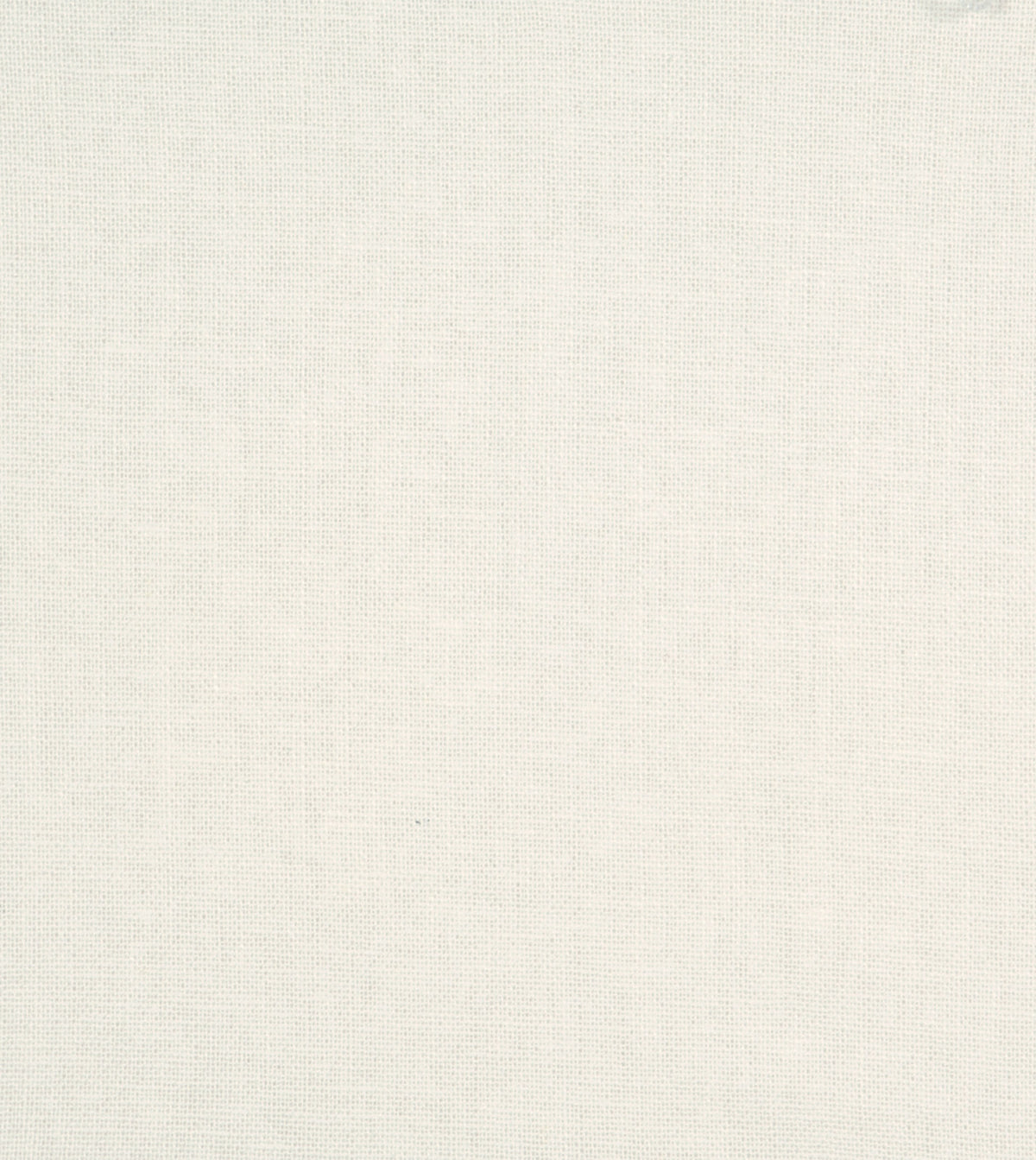 Filly White