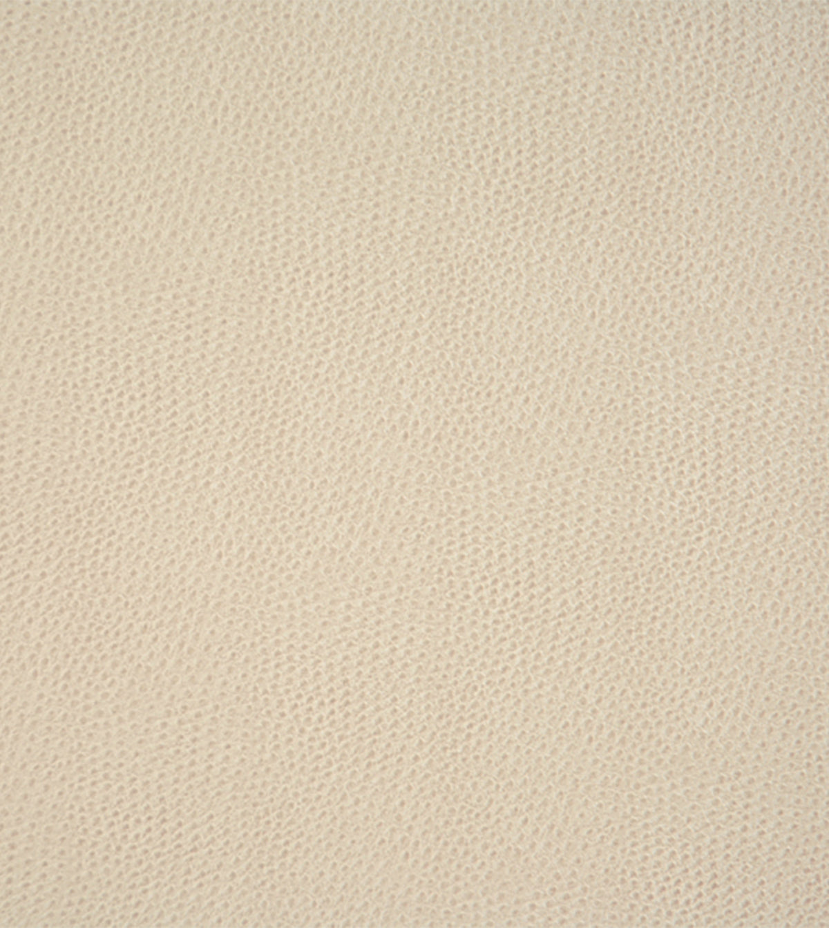 Scarpa Sandstone