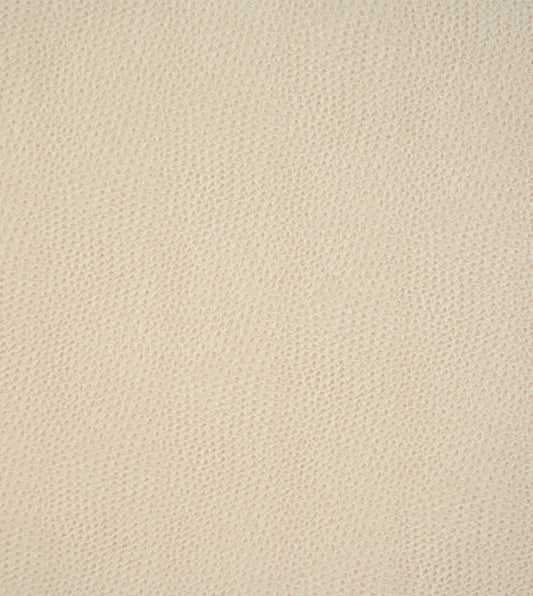 Scarpa Sandstone