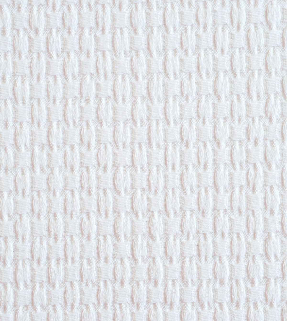 Albany White