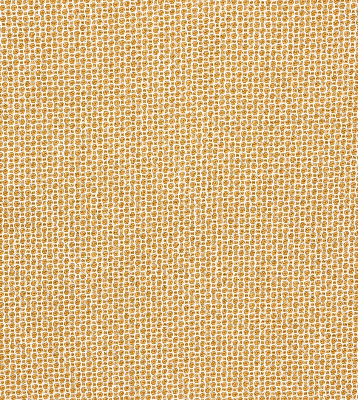Kirby Turmeric