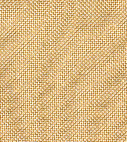 Kirby Turmeric
