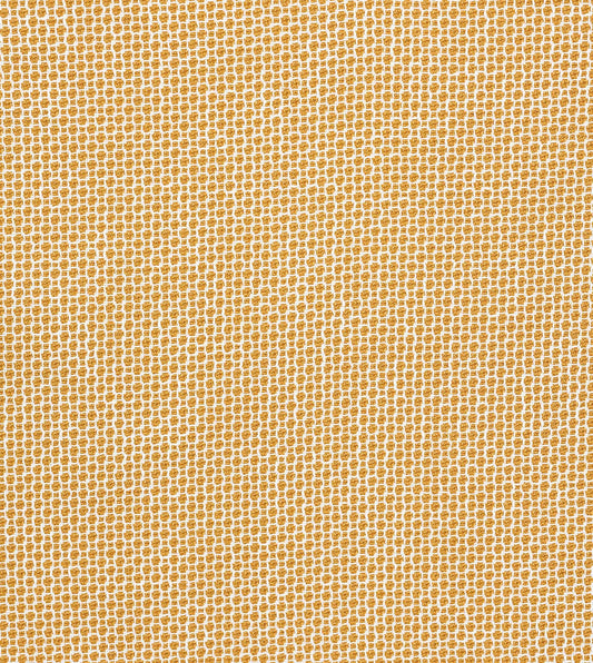 Kirby Turmeric