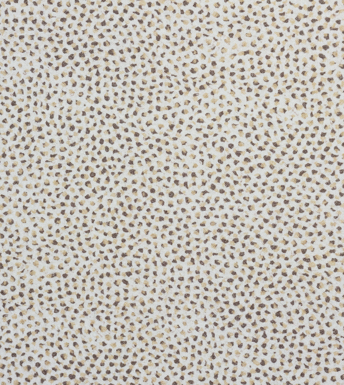 Dessi Birch