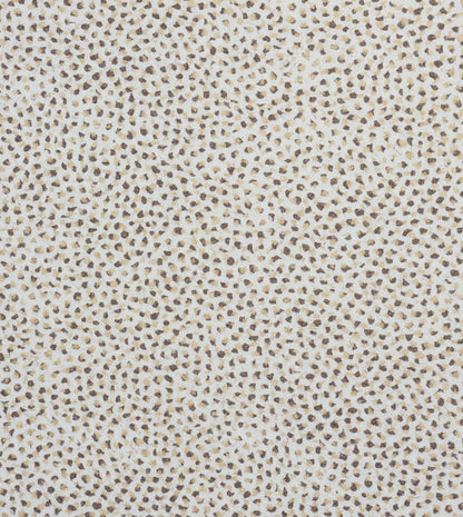 Dessi Birch
