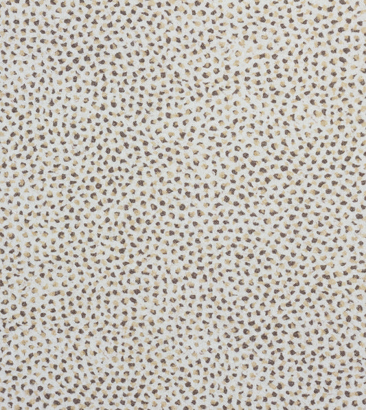 Dessi Birch