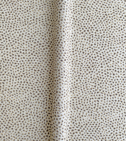 Dessi Birch