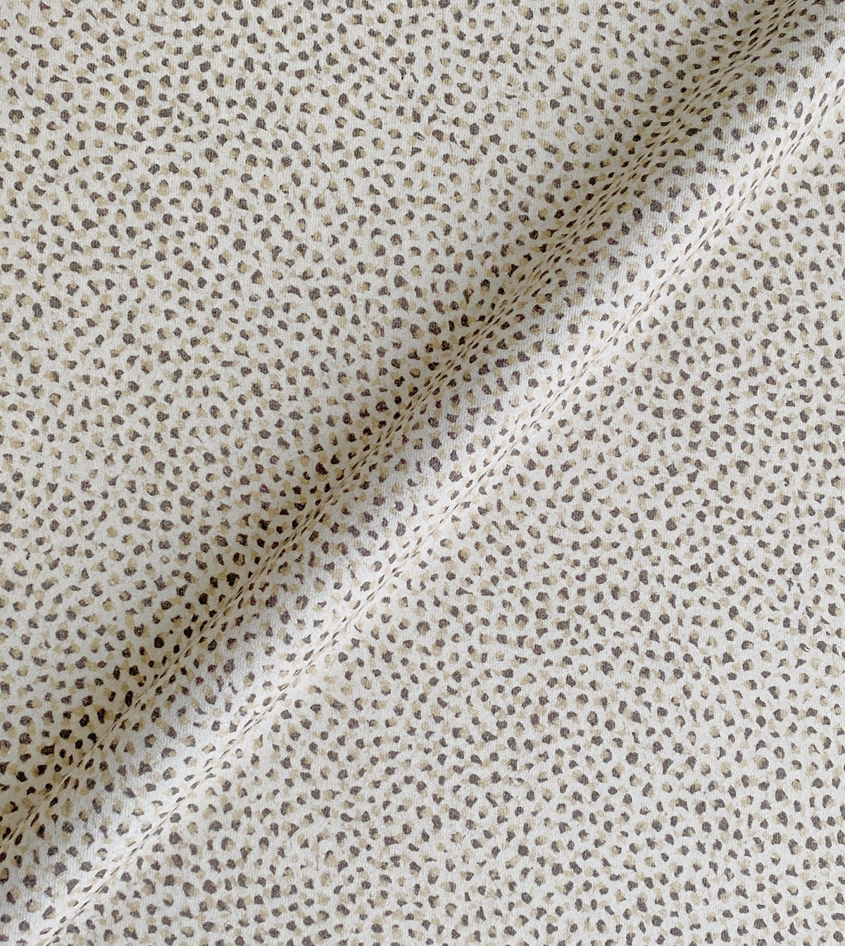 Dessi Birch