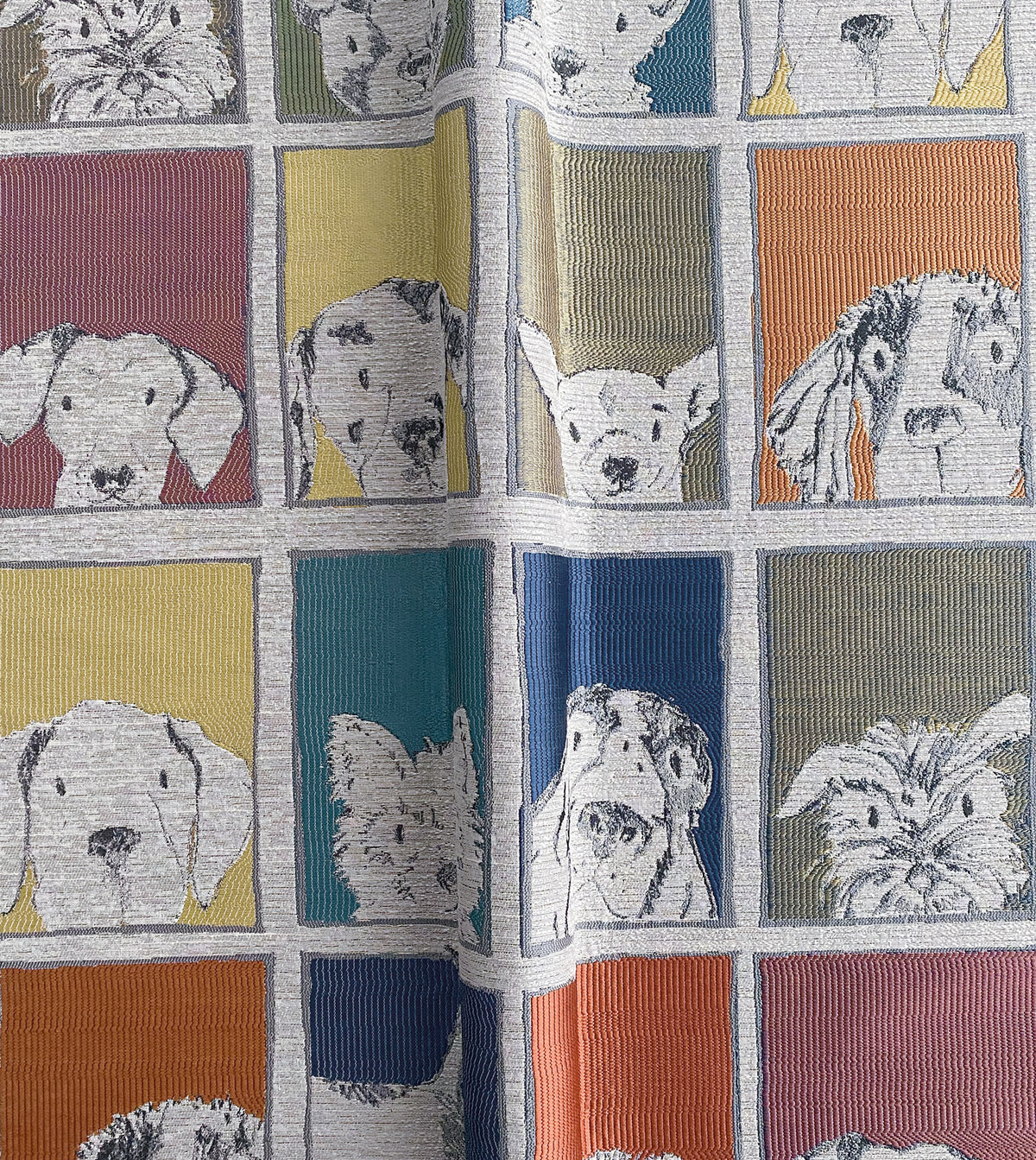 Lucky Dog Rainbow