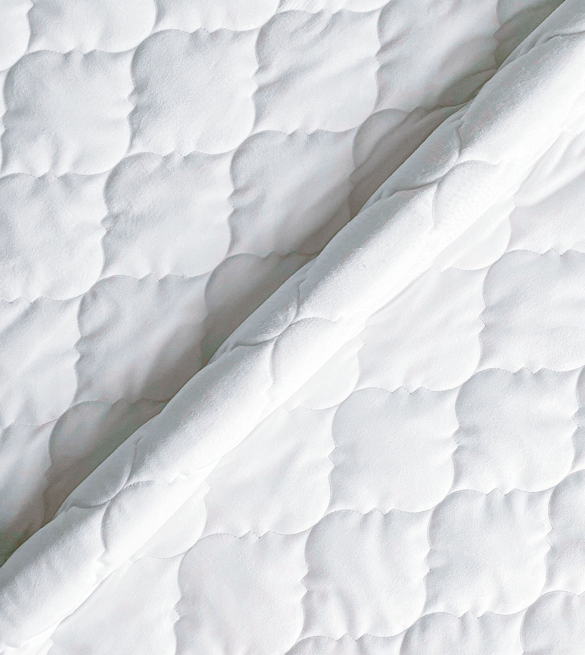 MADRIGAL WHITE