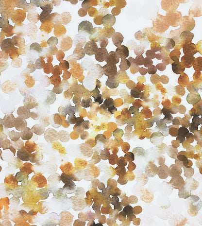 Arcus Ochre