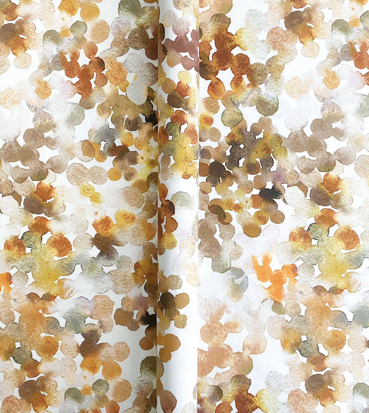 Arcus Ochre