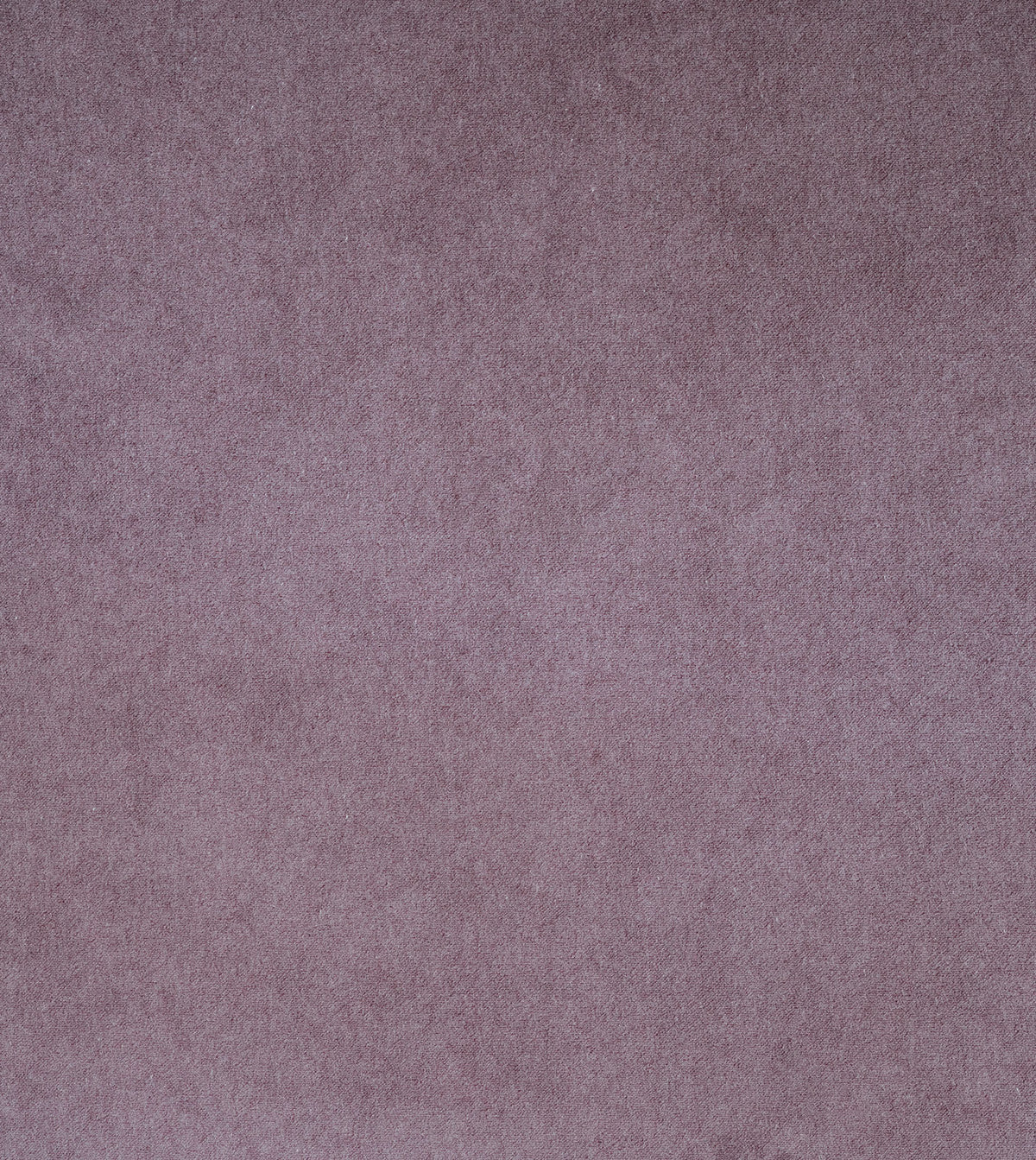 BLICK MAUVE