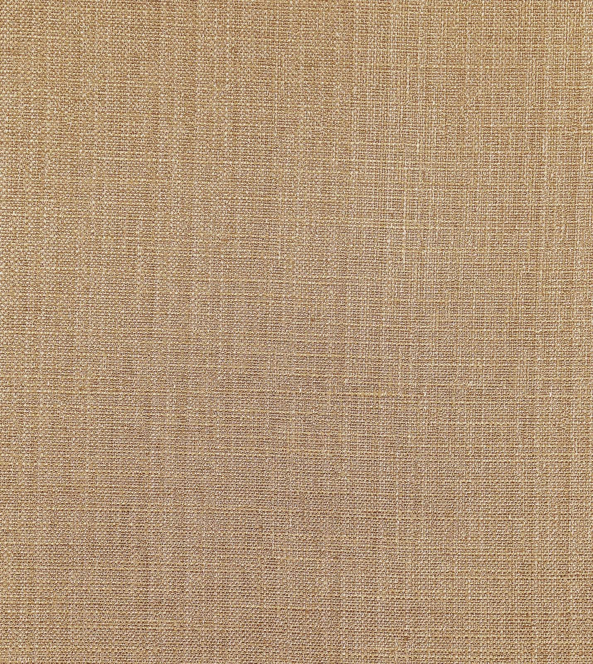 Meridian Cashew