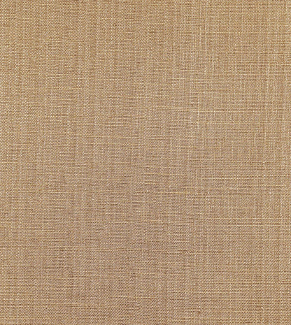 Meridian Cashew