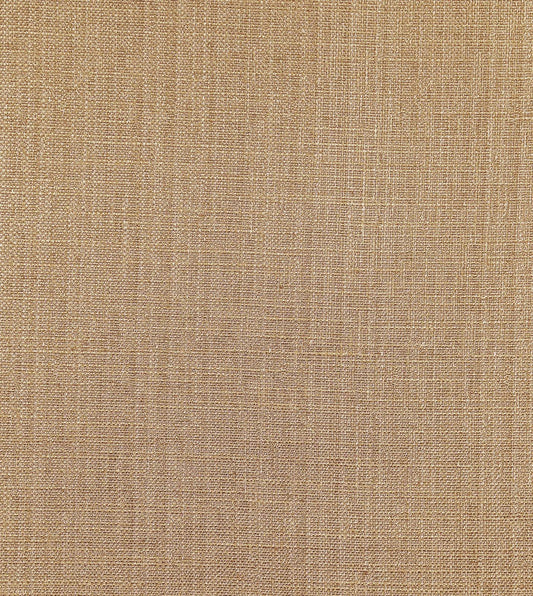 Meridian Cashew