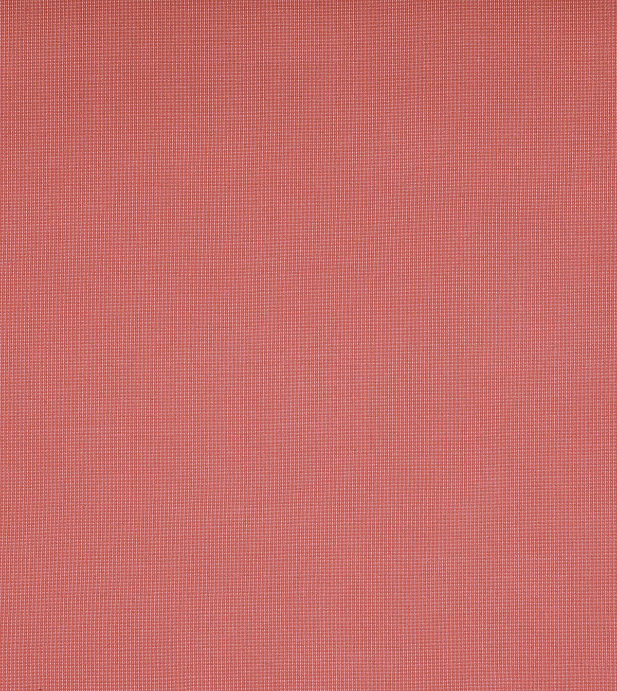 Oasis Coral