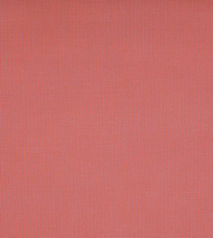 Oasis Coral