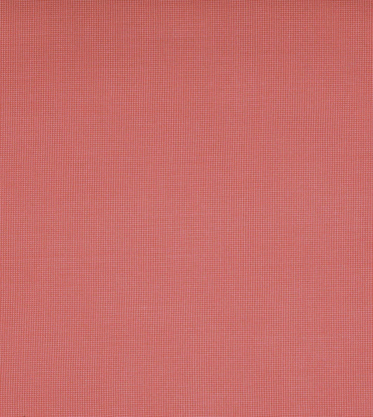Oasis Coral
