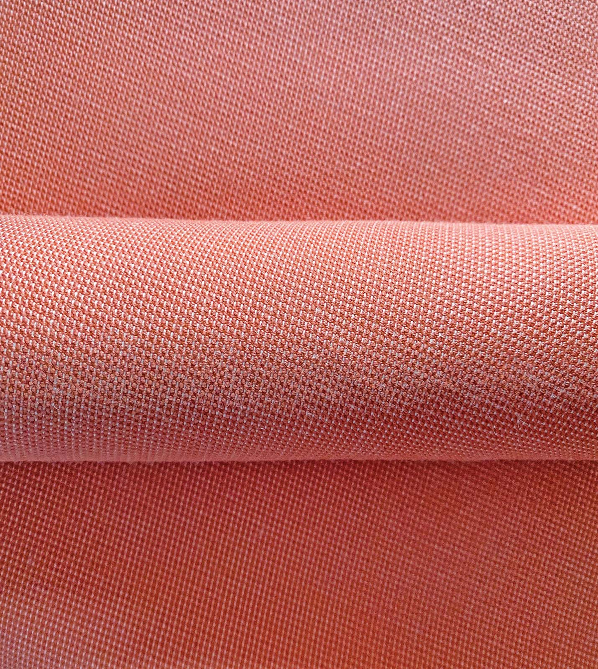 Oasis Coral