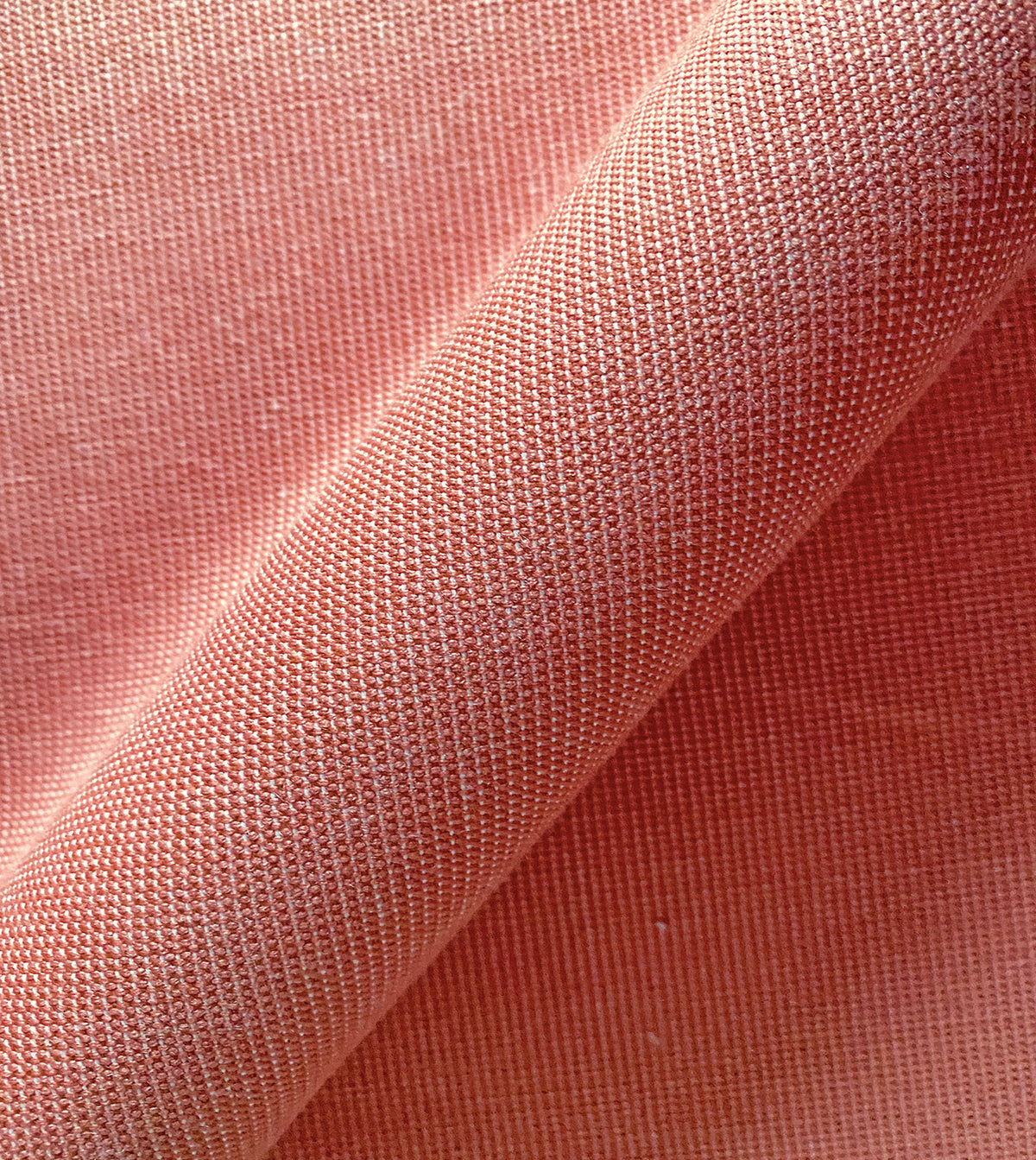 Oasis Coral