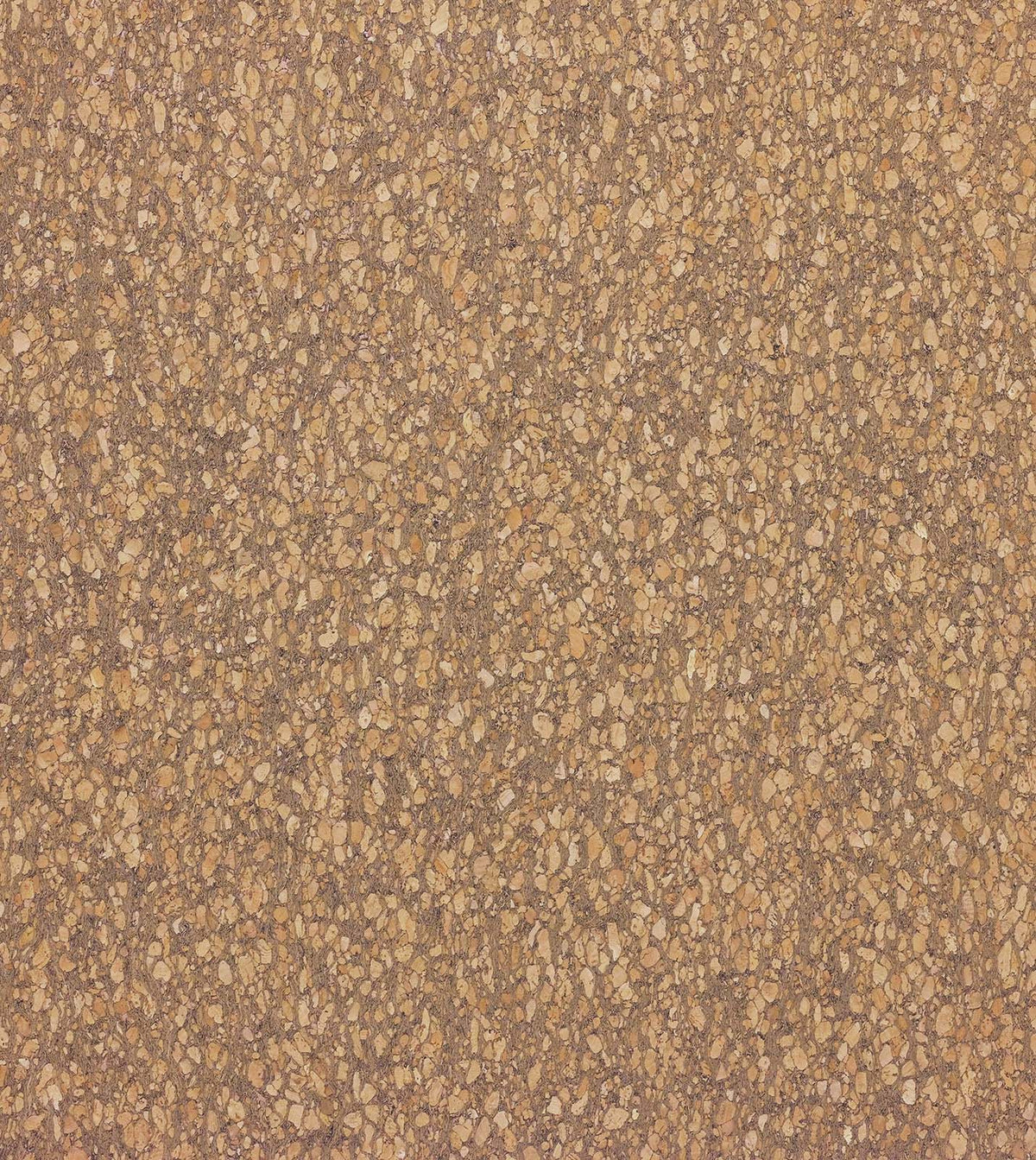 Querkus Tan