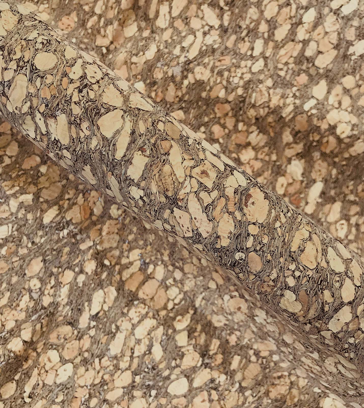 Querkus Tan