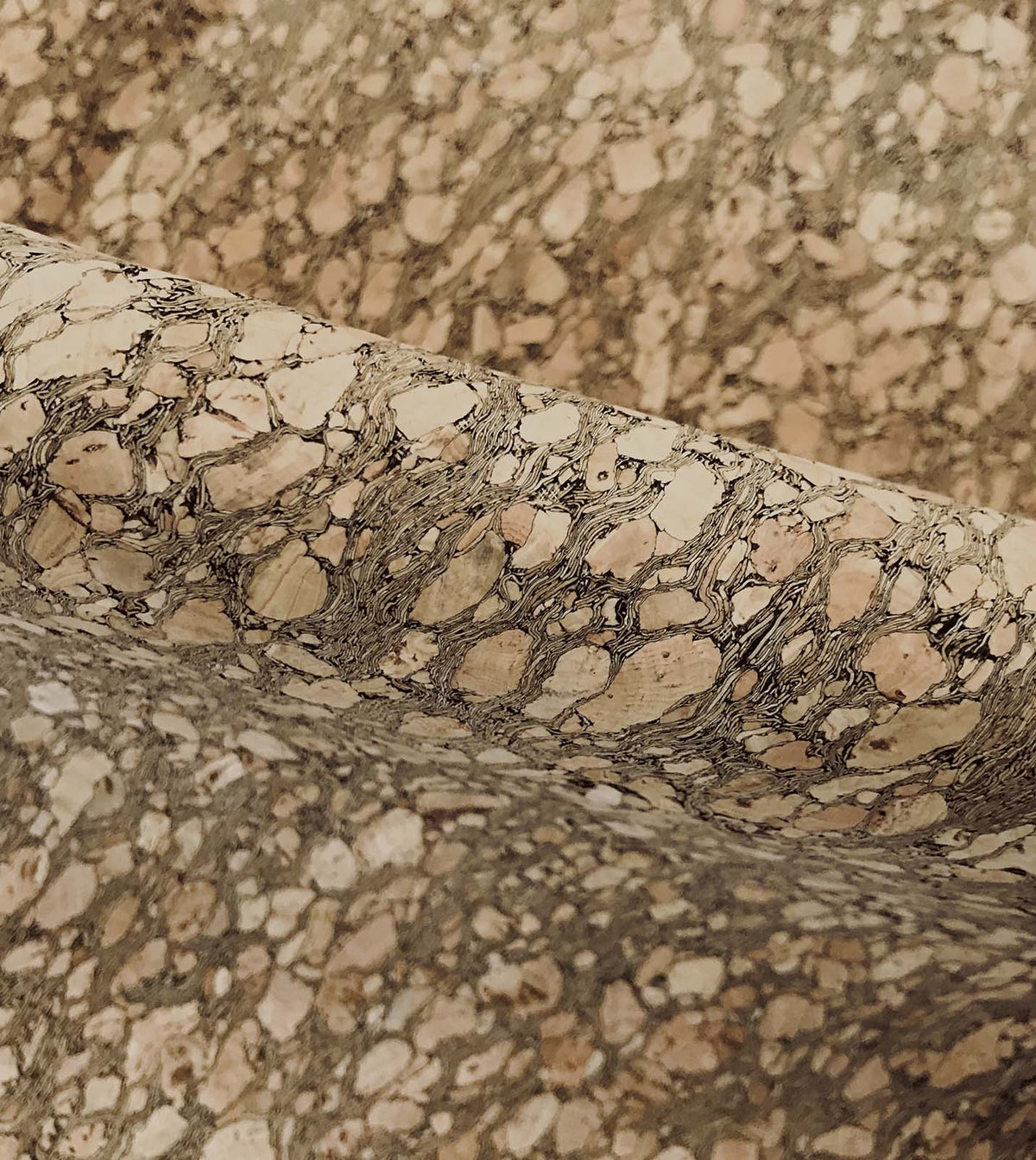 Querkus Tan