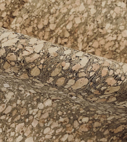 Querkus Tan