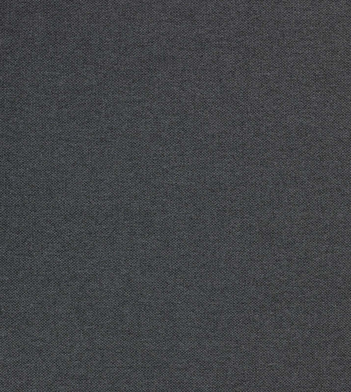 Modesta Charcoal