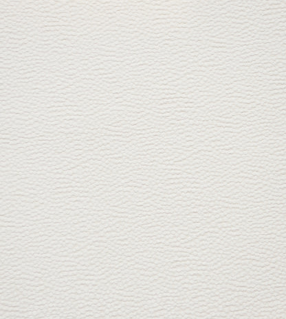 Tennyson Ivory