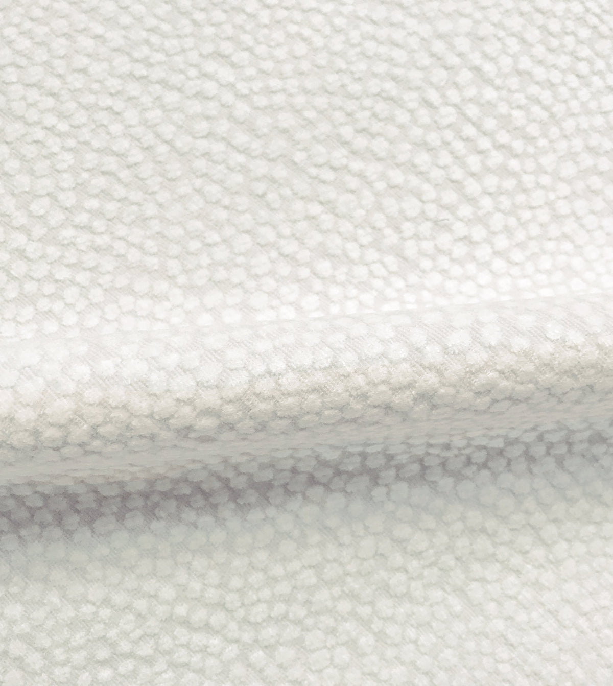 Tennyson Ivory