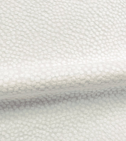 Tennyson Ivory